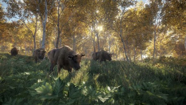 theHunter: Call of the Wild Ultimate Hunting Bundle PC Steam CD Key - Image 2