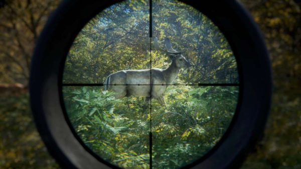 theHunter: Call of the Wild Ultimate Hunting Bundle PC Steam CD Key - Image 4