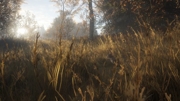 theHunter: Call of the Wild 2021 Complete Collection Steam CD Key - Image 5