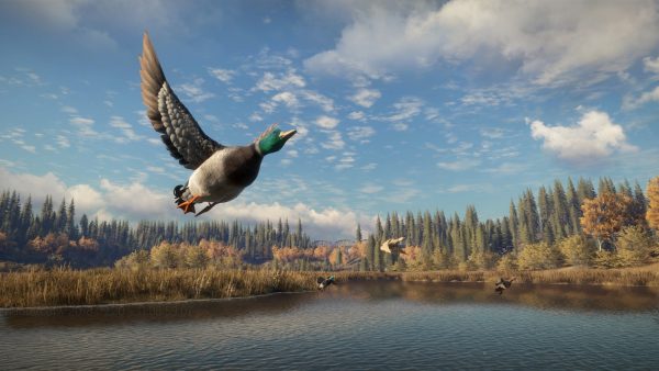 theHunter: Call of the Wild 2021 Complete Collection Steam CD Key - Image 6