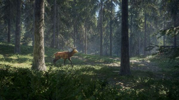 theHunter: Call of the Wild Ultimate Hunting Bundle PC Steam CD Key - Image 6