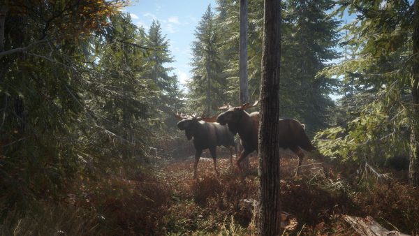 theHunter: Call of the Wild Ultimate Hunting Bundle PC Steam CD Key - Image 8