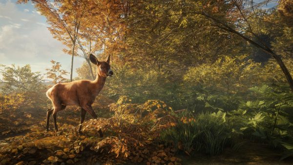 theHunter: Call of the Wild Ultimate Hunting Bundle PC Steam CD Key - Image 14