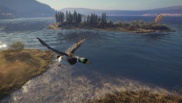 theHunter: Call of the Wild Ultimate Hunting Bundle PC Steam CD Key - Image 9