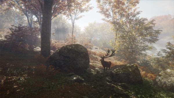 theHunter: Call of the Wild Ultimate Hunting Bundle PC Steam CD Key - Image 11
