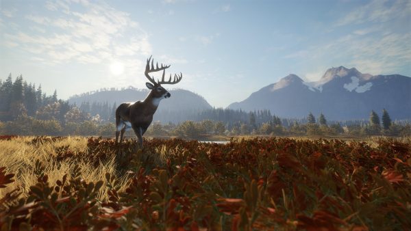 theHunter: Call of the Wild Ultimate Hunting Bundle PC Steam CD Key - Image 15
