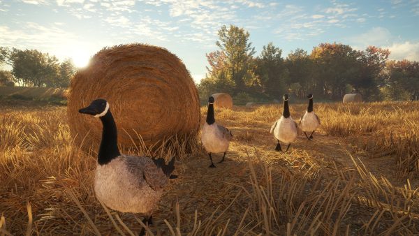 theHunter: Call of the Wild Ultimate Hunting Bundle PC Steam CD Key - Image 12